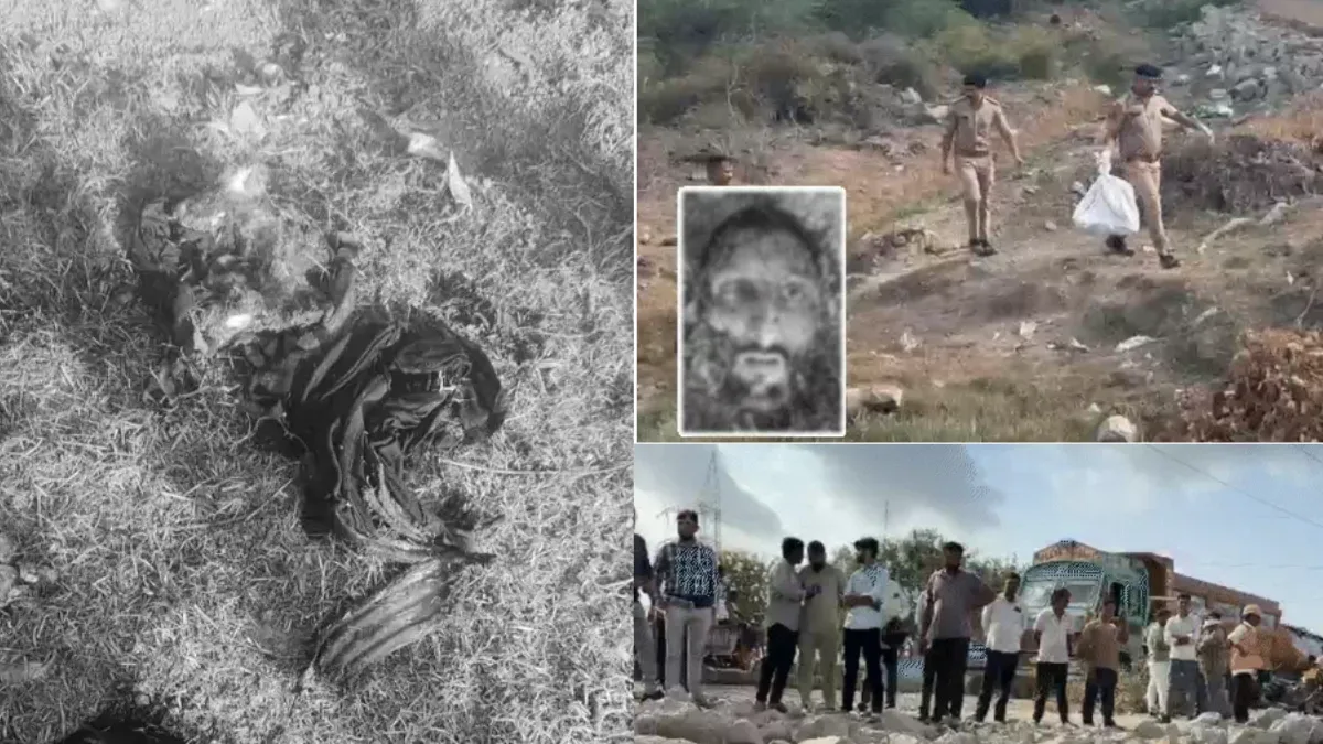 Amreli Lion Attack
