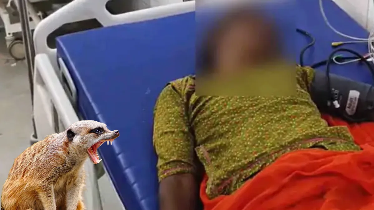 Banas Hospital Rabies Case