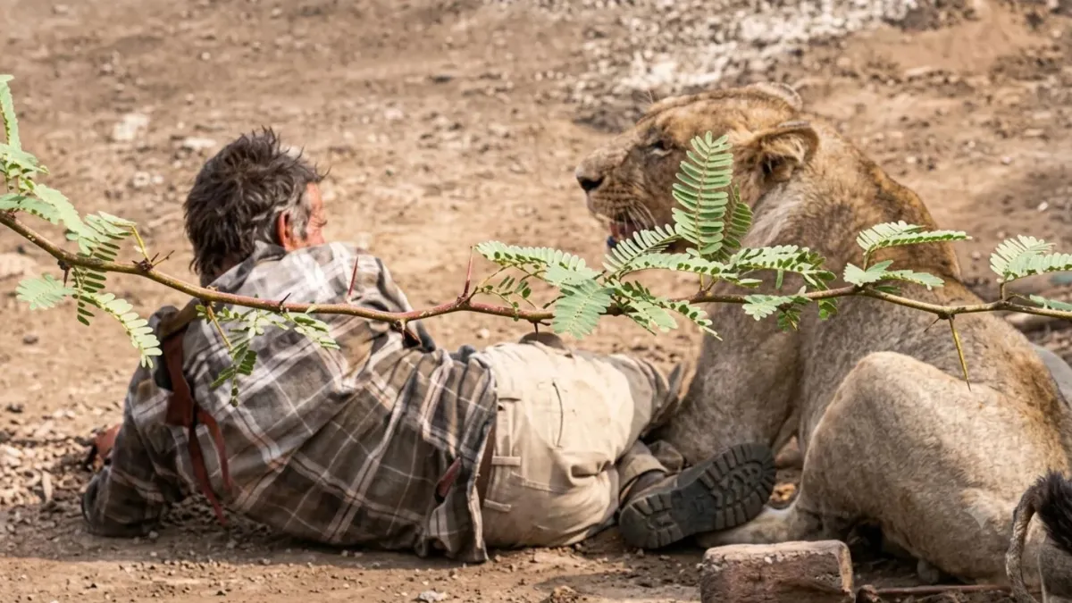 Gujarat Palitana Lion Attack
